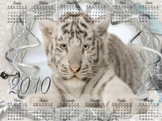 401584 (a): :2048x1536